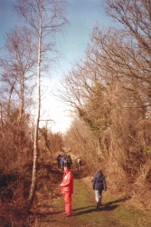 1984-BCGS-Fieldtrip-ForestofDean-9CandC.jpg