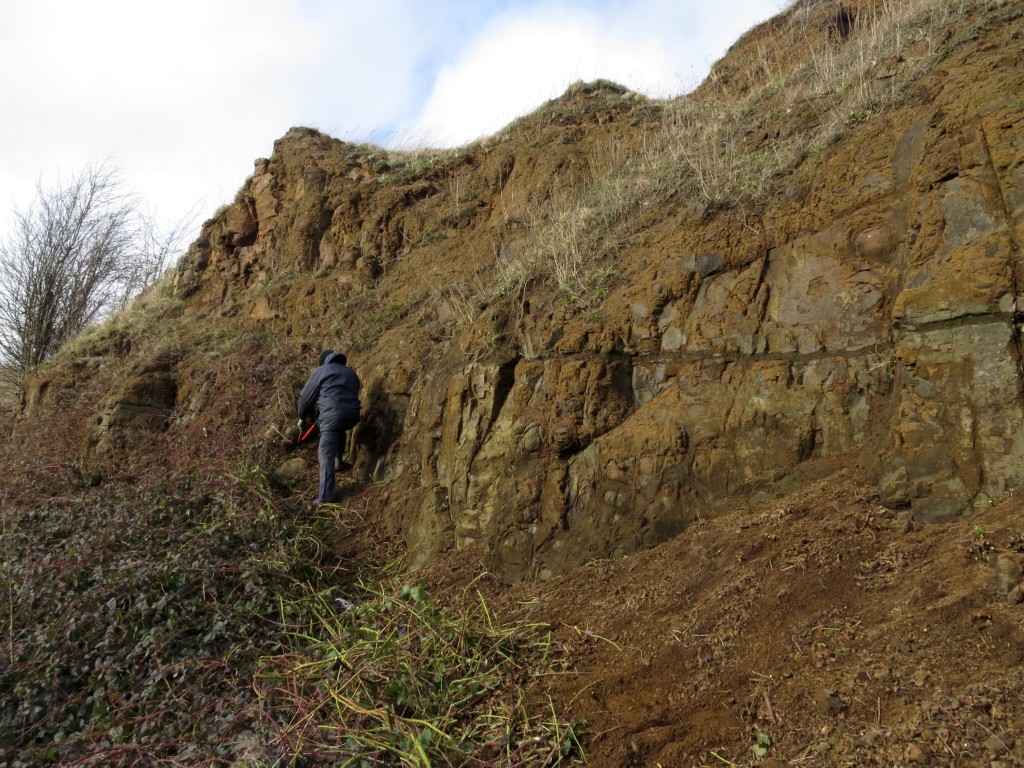 Geoconservation Day Saturday 8 February 2014 BCGS