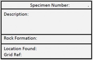 specimen_labels