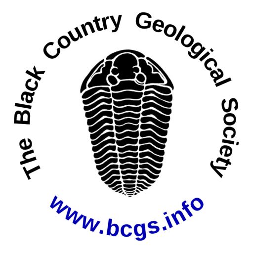 BCGS logo