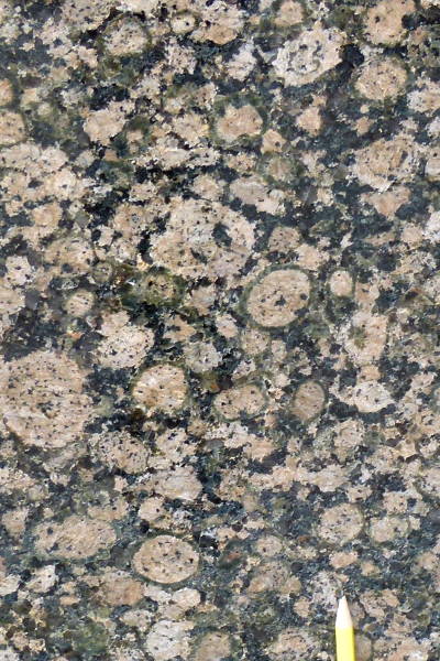Rapakivi granite, Baltic Brown