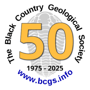 BCGS logo at 50