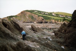 19910614-6CombeMartin1.jpg 19910614-6CombeMartin1.jpg