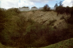 ppsouthern.jpg ppsouthern.jpg