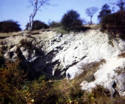 Wrens Nest South.jpg Wrens Nest South.jpg