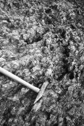 PeterOliver_011grey.jpg PeterOliver_011grey.jpg