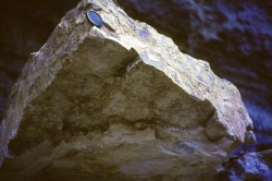 PeterOliver_014.jpg PeterOliver_014.jpg