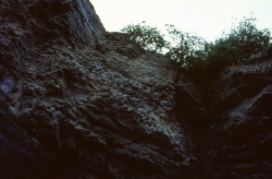 PeterOliver_009.jpg PeterOliver_009.jpg