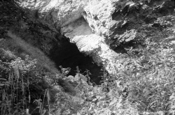 PP20181120_M3.jpg PP20181120_M3.jpg