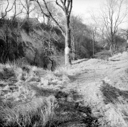 Photo1_P1200244.JPG Photo1_P1200244.JPG