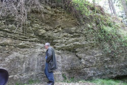 Exposure-of-the-Lower-Elton-Formation-overlying-the-Much-Wenlock-Limestone-Location-2-1.jpg