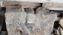 20170520_125905-1.jpg