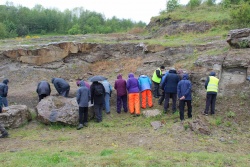 Brymbo-3_The-Fossil-Forest-1.jpg