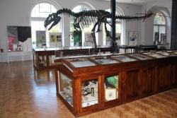 Lapworth-Museum_Main-Hall-1.jpg