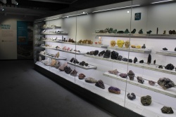Lapworth-Museum_Mineral-Gallery-Case-1.jpg