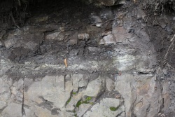 Huntley-Quarry-Beds_Huntley-Quarry-1.jpg