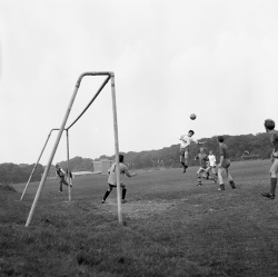 PP1_Central_Wrens_Nest_1960s_small.jpg PP1_Central_Wrens_Nest_1960s_small.jpg