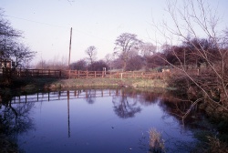 PP5_Caves_Pool_1984_small.jpg PP5_Caves_Pool_1984_small.jpg
