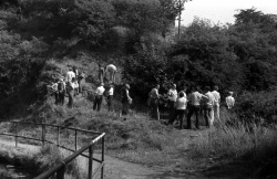 028A_Canalside_exposure_Dolerite_query.jpg 028A_Canalside_exposure_Dolerite_query.jpg