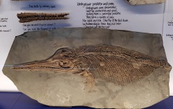 20190916Dorset_4.jpg