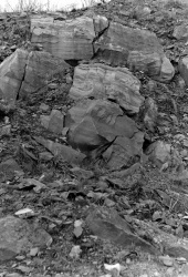 1978-BCGS-April16-NewhurstQuarry-6.jpg 1978-BCGS-April16-NewhurstQuarry-6.jpg