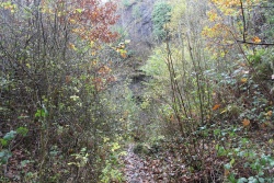 Barrow-Hill-East-Quarry-04.11.2017-Before.jpg