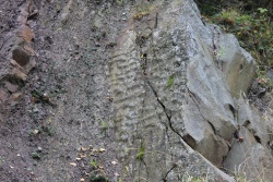 Ripples-of-Silurian-Beach-at-Gullet-Quarry-01.10.2017.jpg