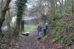 Saltwells-Tub-Line-02.12.2017.jpg