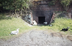 PP20210311_001.jpg PP20210311_001.jpg