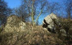 PP20210311_002.jpg PP20210311_002.jpg