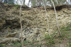 Leintwardine-Formation-Boulders-over-Elton-Formation-Exposure.jpg