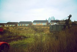 PICT0003a_col.jpg